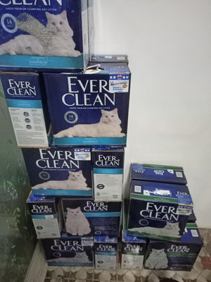 (公司貨)美國藍鑽Ever clean貓砂 藍標白標