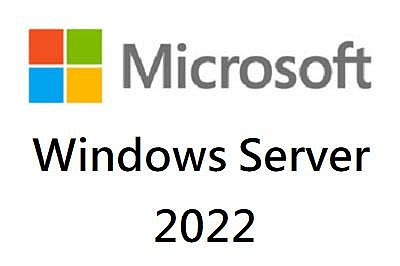 Windows Server 2022 標準教育版一人使用者授權端 CSP (1 User CAL)