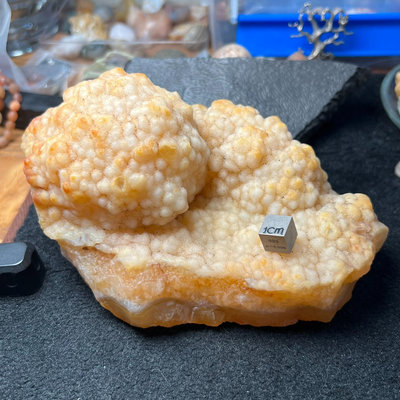【二手】阿拉善瑪瑙 奇石 戈壁瑪瑙 象形 巨大的黃金炸蝦球 擺件 尺 瑪瑙 奇石 收藏 【探幽坊】-536