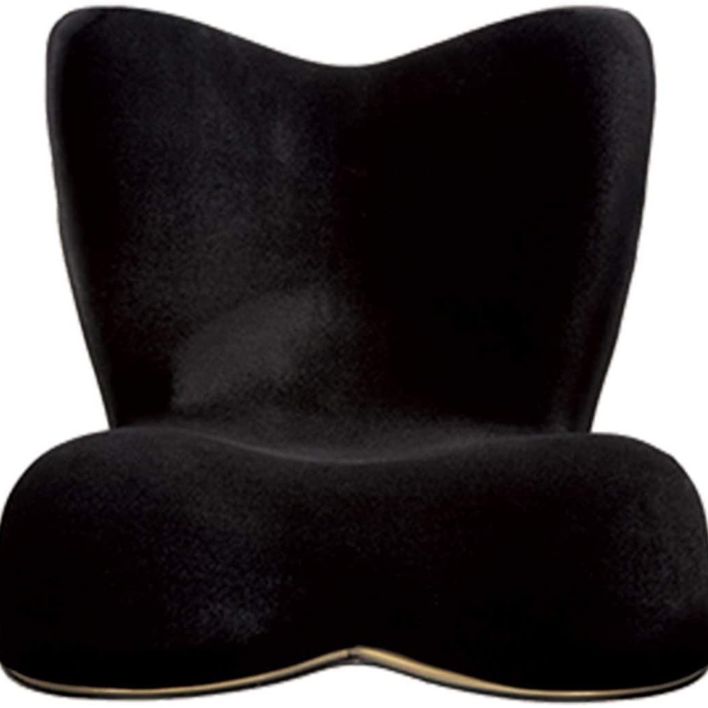 日本MTG Style PREMIUM DX 舒適頂級調整椅美姿坐姿調整墊椅墊