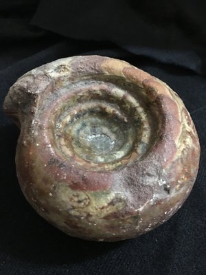 ｛御芳齋｝誠可議《鸚鵡螺化石》取最大值 9.7*8.8*5.6 cm