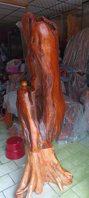 台灣肖楠木樹根，八分沉水料，重油味香有開聞香口，底座肖楠樹頭