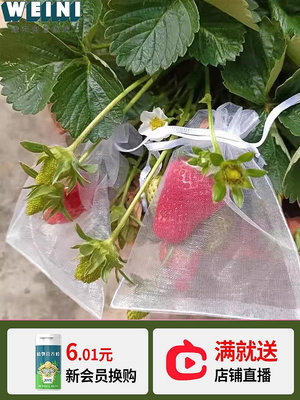 水果套袋專用袋防鳥防蟲神器網袋葡萄無花果草莓番茄桃子蘋果套袋-維尼創意家居