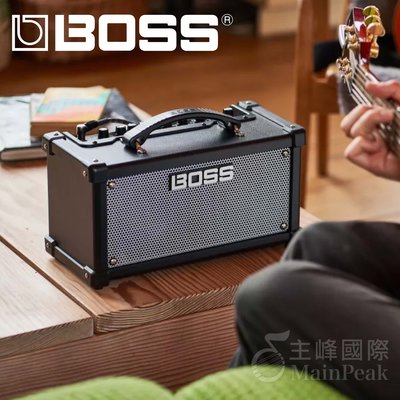 【公司貨】BOSS DUAL CUBE LX 桌面型音箱 可裝電池 吉他音箱 小音箱 電吉他/吉他 音箱 roland