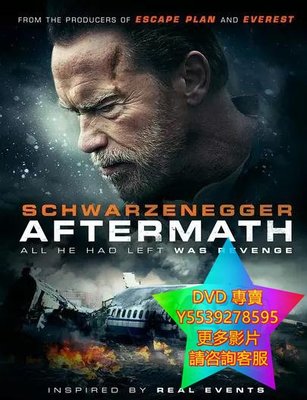 DVD 專賣 劫數/空難余波/Aftermath 電影 2017年