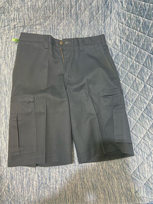 Dickies RN20697  正規店購入 已送乾洗 布標 藍色 重磅 帆布 短褲 工作褲 口袋拉鍊褲 W30