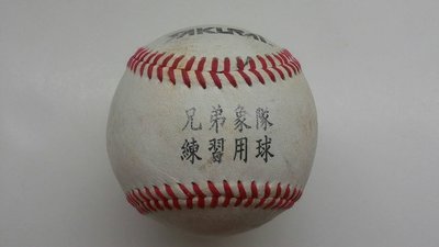 中華職棒 中信兄弟 兄弟象 兄弟象 logo 練習球 實戰用球 熱身賽 稀少 已絕版 只有一顆
