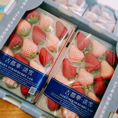 日本古都華三色草莓