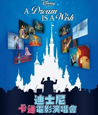 Disney迪士尼卡通電影演唱會節目冊 小美人魚阿拉丁獅子王美女與野獸魔髮奇緣冰雪奇緣