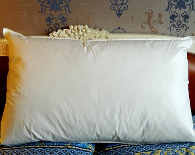 羽絨枕 羽毛枕 高支撐枕 彈性佳 天然水鳥羽毛 雙層抗菌表布 每個只要550元 1.5KG大枕適合喜歡較高枕頭的人使用