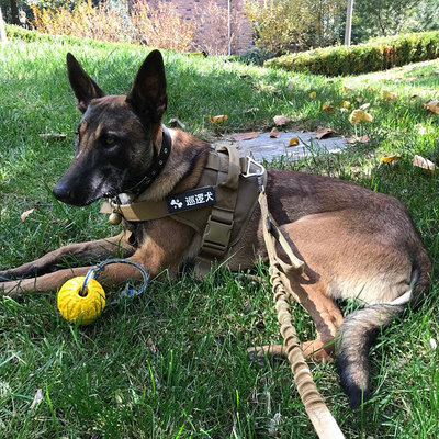 狗狗戰術胸背帶中大型犬K9背心式牽引繩德牧金毛馬犬狼犬遛狗繩