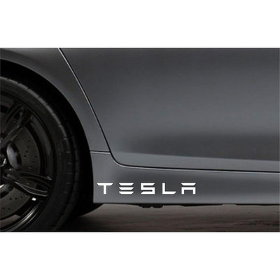 2pcs  對 2x 側裙貼紙適合 Tesla 汽車貼紙車身汽車貼花 VK99