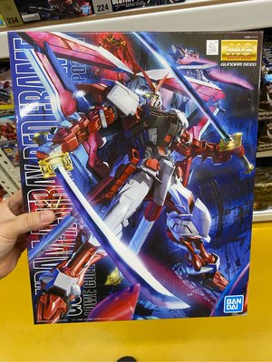 Bandai MG Gundam MBF-P02 Astray Red Frame 1/100 Scale Kit鋼彈