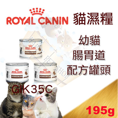 [現貨可刷卡] 皇家GIK35C 幼貓 腸胃道配方罐頭 195g 1至12個月 可搭配GIK35