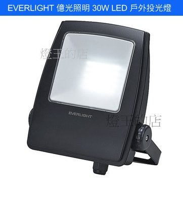 【燈王的店】億光 星宇 戶外防水 LED 30W 投射燈 全電壓 (白光/黃光) ☆ FAP-30W