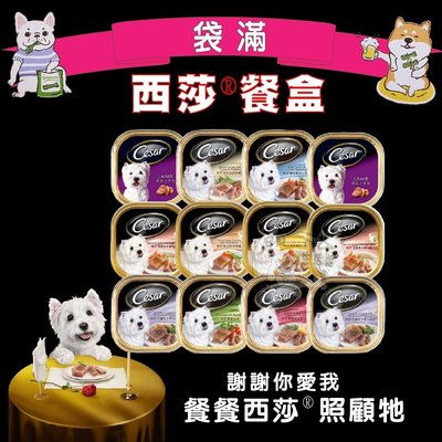 促銷送贈品) Cesar西莎餐盒 精緻 / 風味餐盒全系列100g 狗餐盒狗罐頭