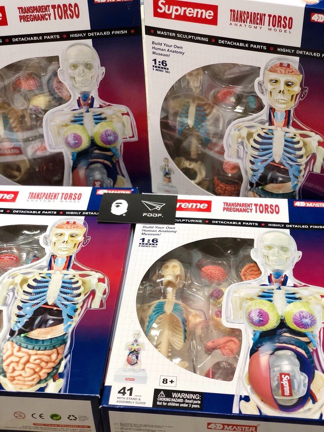 直売お値下 supreme Anatomy Model 人体模型 | artfive.co.jp