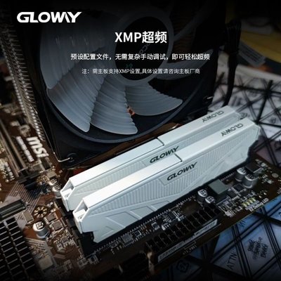 Gloway光威 DDR4 8GB 16GB 3000 3200 3600臺式機內存條 天策系列~特價