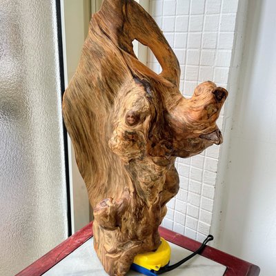 早期黃檜鳳尾榴（出清價） | Yahoo奇摩拍賣