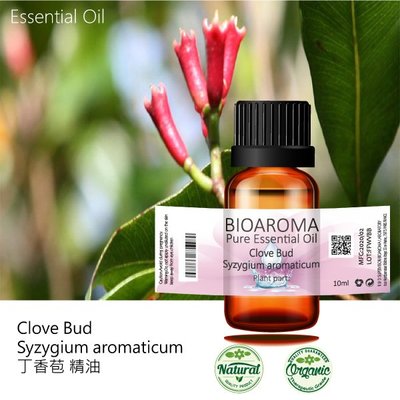 【芳香療網】Clove Bud - Syzygium aromaticum 丁香苞精油 100ml