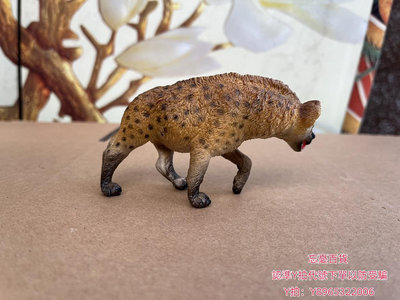 仿真模型Safari 正品222629非洲斑鬣狗 土狼 動物模型兒童玩具