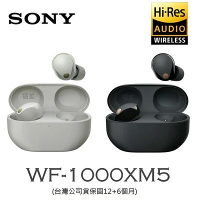 【送矽膠保護套】SONY WF-1000XM5 真無線降噪 藍牙耳機 (台灣公司貨保固12+6個月)