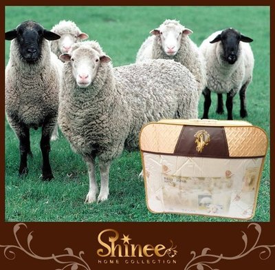 原售價8980元↘SHINEE《特級國際羊毛局認證天然100%羊毛被》(純棉印花表布)雙人被子 棉被 冬被-另有單人