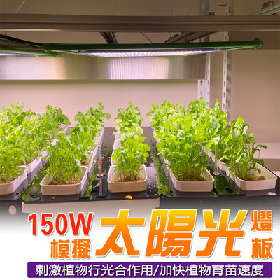 君沛 燈板系列 150瓦 吊掛式 植物燈 全光譜 植物成長專用燈 植物生長燈
