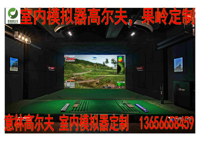 高爾夫球桿 戶外運動 T-up體太福模擬器高爾夫 別墅模擬高爾-實惠小店
