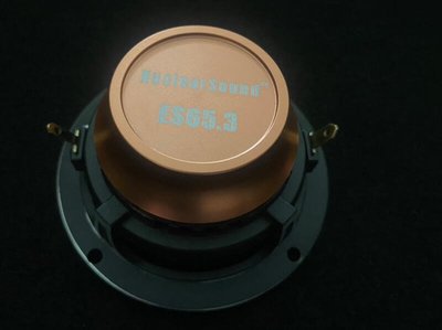 試用價頂級高cp值德國NUCLEARSOUND ES65.3 6.5吋三音路喇叭非MOREL RAINBOW MA GB