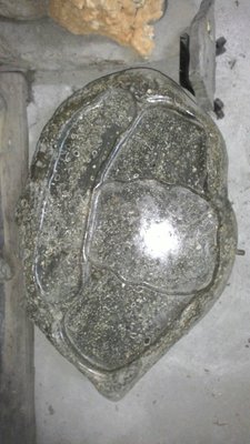 [御寶閣] 古董 文物 藝品 字畫 化石~貝類化石 茶盤 化石 茶盤 大茶盤