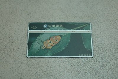 收藏卡,中華電信已使用過的電話卡（舊式，非ＩＣ卡,黃盾背椿象,可面交