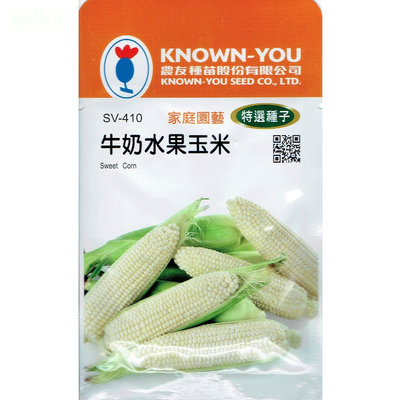 種子王國 牛奶水果玉米 Sweet Corn (sv-410) 玉米  【蔬果種子】農友種苗特選種子 每包約5公克