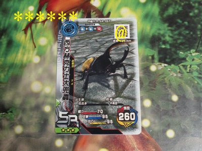 新甲蟲王者~SR3星甲蟲普卡:西方赫克力士大兜蟲M-G4-06T