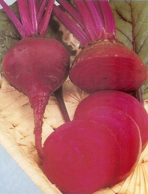 【蔬菜種子S180】紅肉甜菜根~生長旺盛，根系發達，栽培管理容易。根球圓型，肉質深紅，生育期約120天採收。