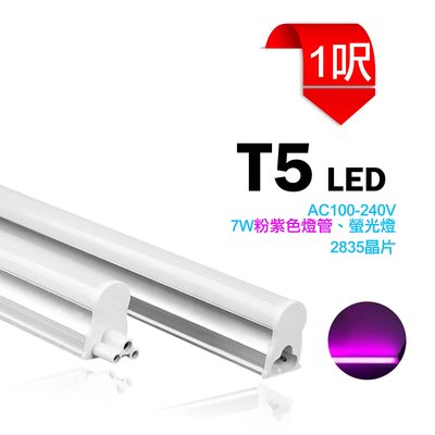 台灣製造 LED T5 1呎 AC100-240V 粉紫色 燈管 支架燈 串接燈 日光燈 各種顏色 間接照明 夜市 招牌