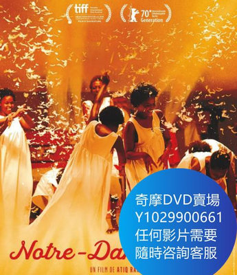 DVD 海量影片賣場 尼羅河聖母/Our Lady of the Nile 電影 2019年