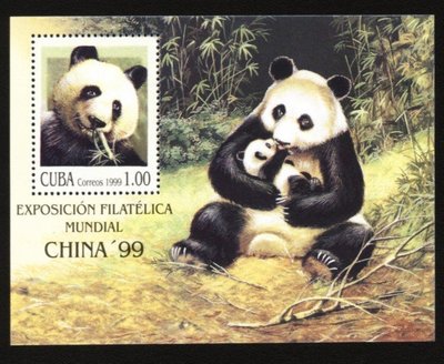 (9 _ 9)~-古巴小型張---1999年---大熊貓母子---外拍