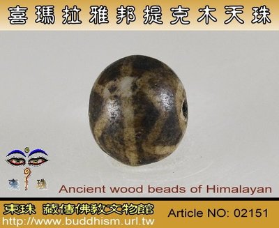 【東珠文物】古老喜瑪拉雅邦提克木天珠系列。02151