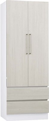 【生活家傢俱】HJS-450-6：艾美爾2.8尺二抽衣櫃-鐵杉白【台中家具】系統衣櫃 開門式衣櫥 低甲醛系統家具 台灣製
