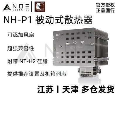 新店促銷諾易 Noctua 貓頭鷹 NH-P1 被動式無風扇靜音cpu散熱器可添A12x25促銷活動