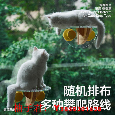 可開發票量大優惠pidan夏季寵物窩貓跳臺貓咪吸盤吊床貓窩免打孔窗戶觀景貓咪用品