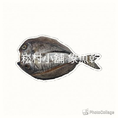 澎湖名產 新孟成象魚乾 象魚干