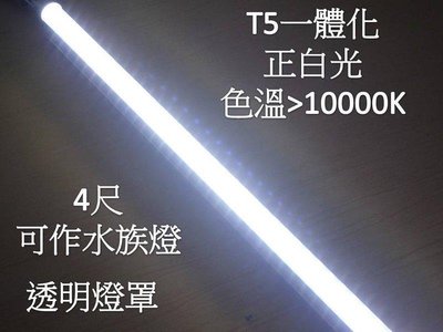 [嬌光照明]LED水族燈 T5不斷光 色溫 13000k 4呎 白光 透明 LED燈泡 LED日光燈 LED植物燈批發