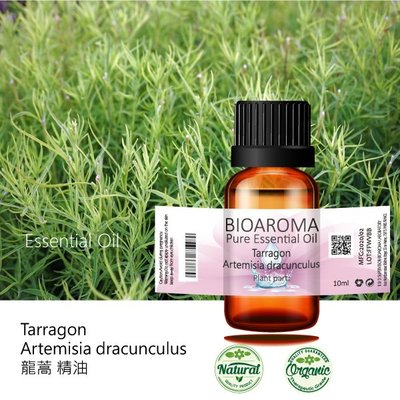 【芳香療網】Tarragon - Artemisia dracunculus 龍蒿精油 10ml