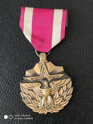 美國功勛獎章-空軍