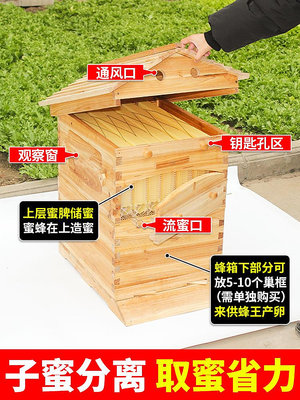 自流蜜蜂箱全套雙層自流蜜蜂巢蜜蜂箱養蜂箱巢框塑料裝置養蜂工具台北有個家