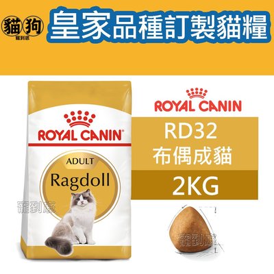 寵到底-ROYAL CANIN法國皇家FBN品種訂製貓系列【RD32布偶成貓】2公斤