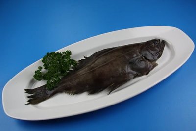 【年菜系列】小鱈魚(比目魚.扁鱈)/約505g±5%~敎您做清蒸小鱈魚
