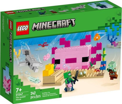 樂高LEGO Minecraft 當個創世神 岩層大冒險 21247 玩具e哥004K21247